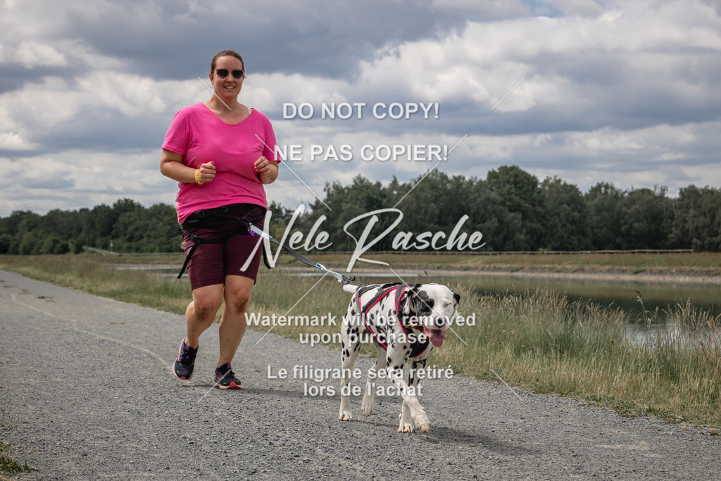 nelerasche_BuHu2026_SaCC1100-1200_264 | nelerasche