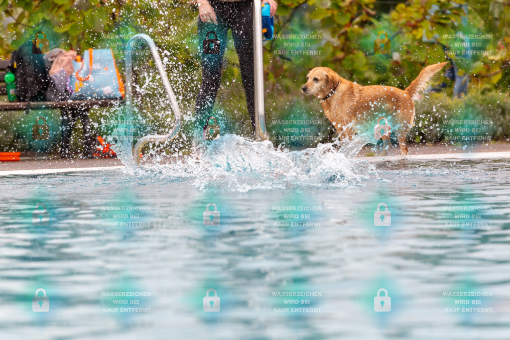 _HP_6120_1000o | HetPix, HetPix Fotodesign, Fotografie, Fotodesign, Webshop, Sportfotografie, Portraitfotografie, Onlineshop, Sportfotografie, Polch, Motorsportfotografie, Eventfotografie