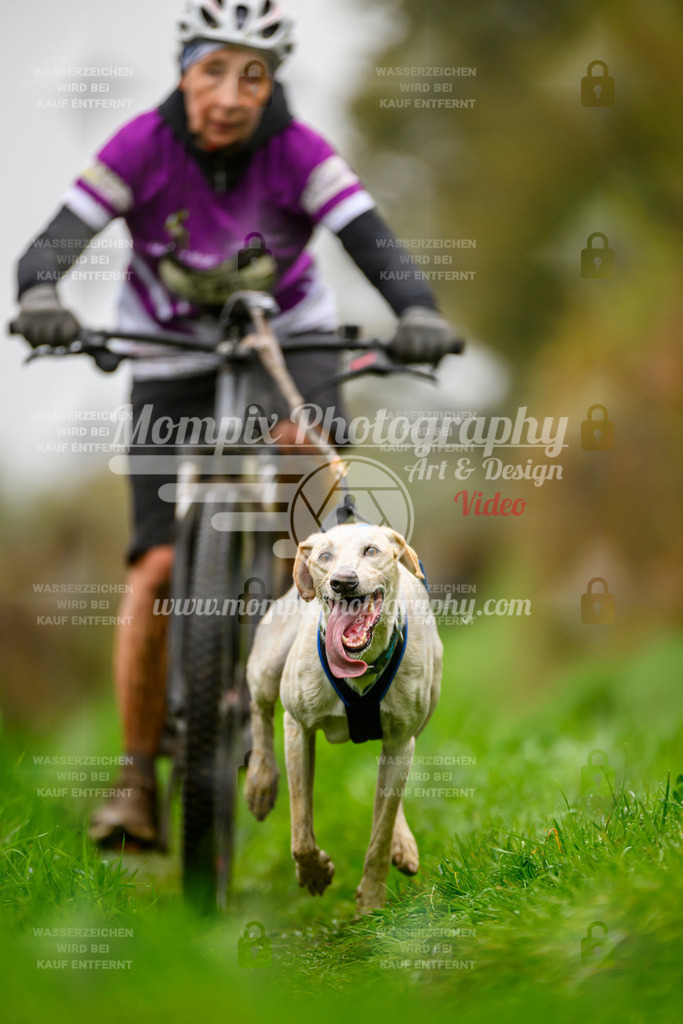 MompixPhotography_20TSB_E8_Bike-114 | PayLife