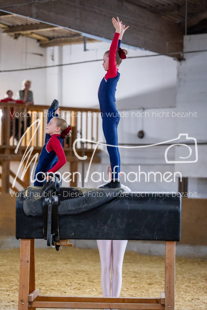 Holzpferd-091 | MomenTaufnahmen Pferdesportfotos