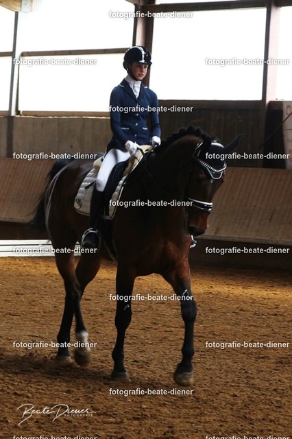 JugendTrophy0161 | Fotografie, Tiere, Hunde, Katzen, Pferde, Sportfotografie, Fotosession, Tierfotografie, Turnierfotografie, Fotografin, Fotograf - Realisiert mit Pictrs.com