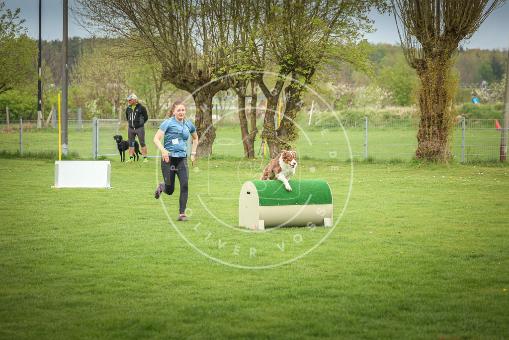 Pfotenfotografie_0L8A9405 | Hundefotografie, Tierfotograf, Pfotenfotografie, Fotoshooting Hund, Hunde Portrait, Hundesport, Hundeportraits, Heideshooting, Hunde, Sportfotograf, Hundefotograf, Turnierhundsport, THS,  - Realisiert mit Pictrs.com