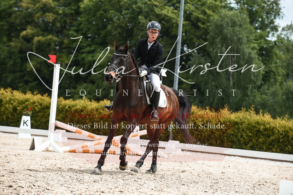 20230518_JK-Röhrsdorf-10-615 | Pferde- und Turnierfotografie in Westsachsen. Pferdeportraits, Auftragszeichnungen und intuitive Kunst.