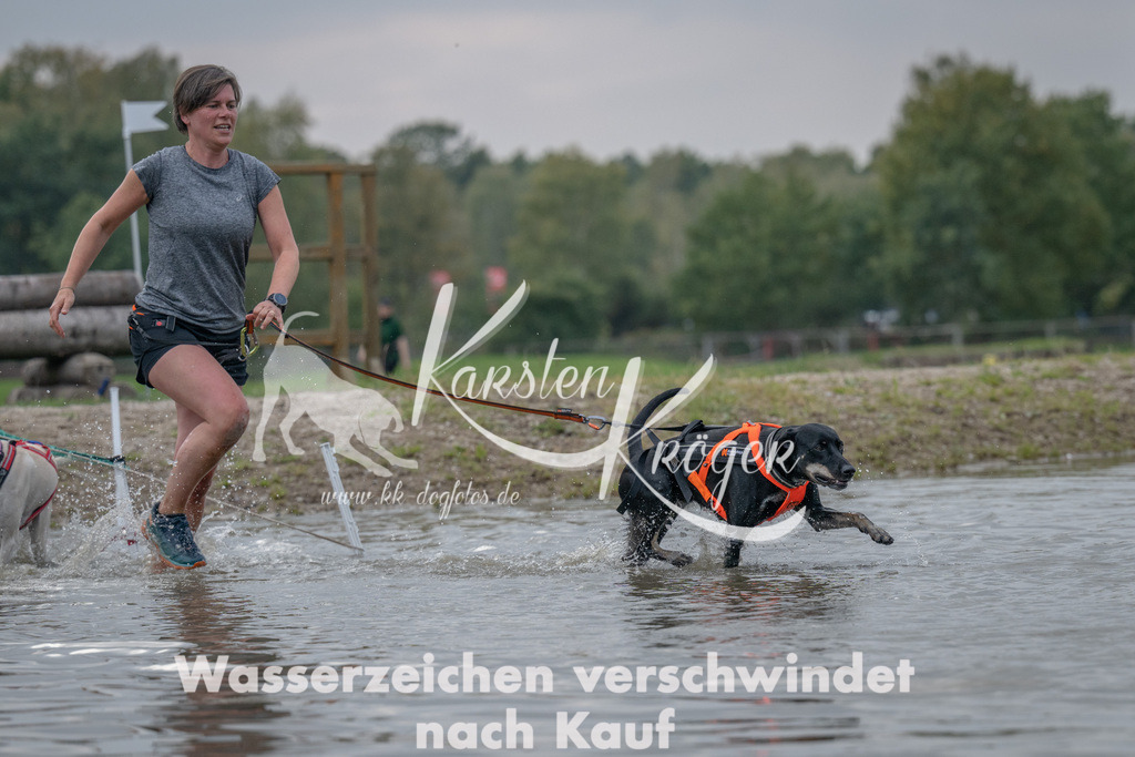 1504_ZZ92988 | kk-dogfotos