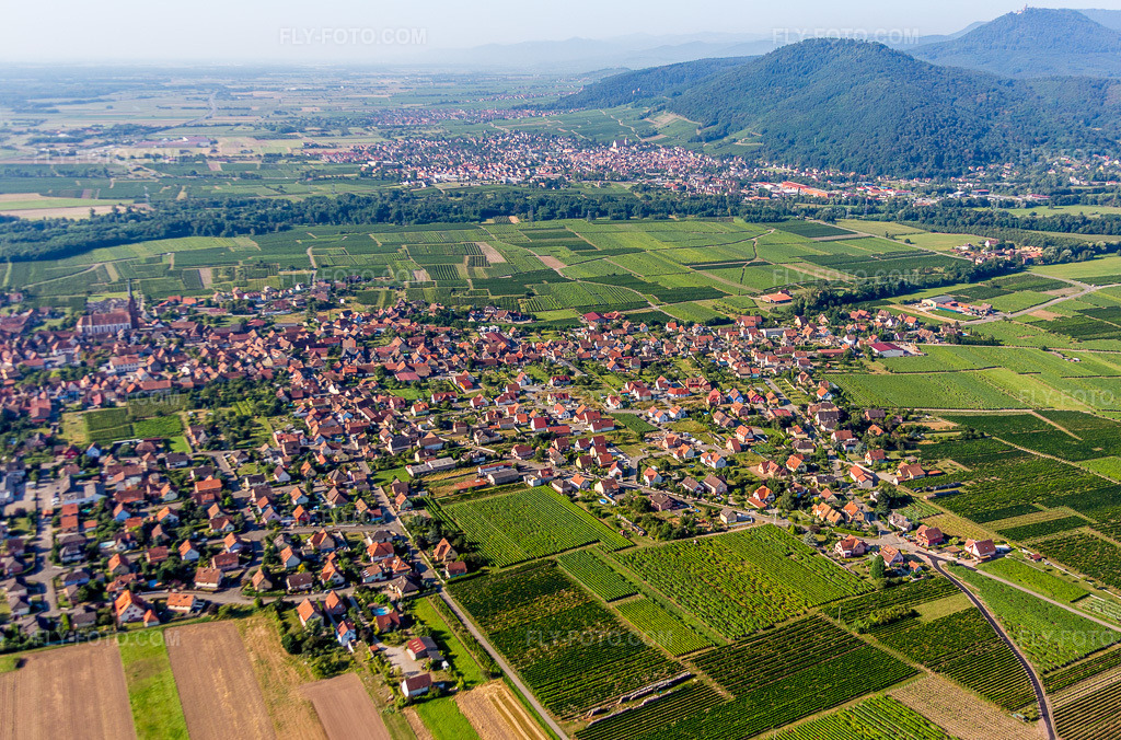 Aerial view: View of the streets and houses in the residential areas in Scherwiller in the state Bas-Rhin, France.Photo: IMG_093272.jpg taken on 08/16/2016 by Werner Riehm/FLY-FOTO.comResolution of the original: 5362 x 3538 px