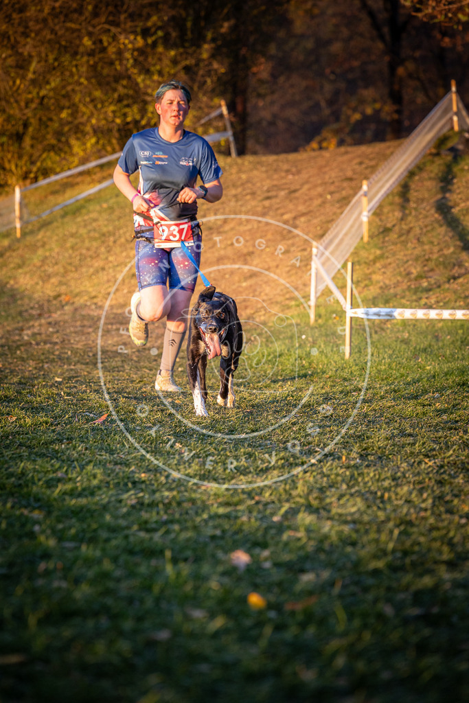 CaniXpix_0L8A1911 | Hundefotografie, Tierfotograf, Pfotenfotografie, Fotoshooting Hund, Hunde Portrait, Hundesport, Hundeportraits, Heideshooting, Hunde, Sportfotograf, Hundefotograf, Turnierhundsport, THS,  - Realisiert mit Pictrs.com