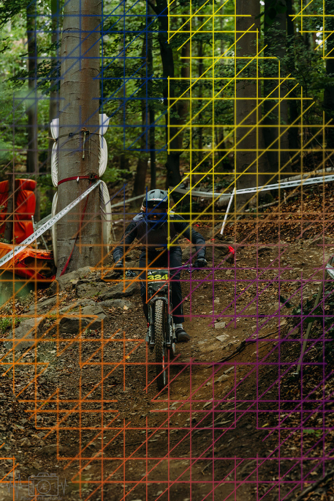 PAE-1651 | Einzigartige Fotokunst für dein Zuhause: Entdecke hochwertige Wandbilder, edle Prints und emotionale Motive von Wildlife, Natur und Landschaften - Realisiert mit Pictrs.com