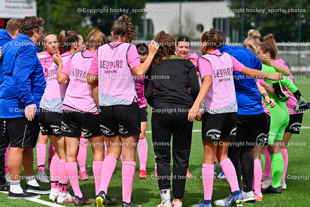 Liwodruck Carinthians Hornets vs. SV Weikersdorf 11.9.2022 | Carinthians Hornets Mannschaft