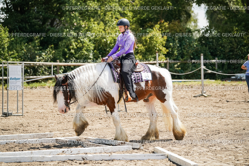 DSC07472 | Pferdegrafie