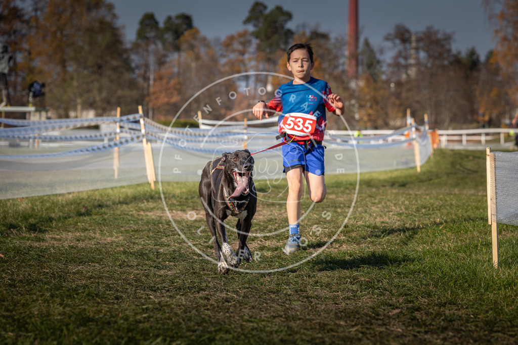 CaniXpix_0L8A8884 | Hundefotografie, Tierfotograf, Pfotenfotografie, Fotoshooting Hund, Hunde Portrait, Hundesport, Hundeportraits, Heideshooting, Hunde, Sportfotograf, Hundefotograf, Turnierhundsport, THS,  - Realisiert mit Pictrs.com