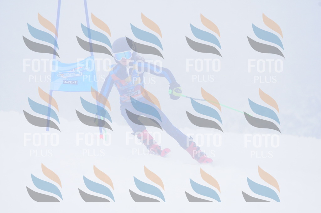 C3605 | holidayphoto