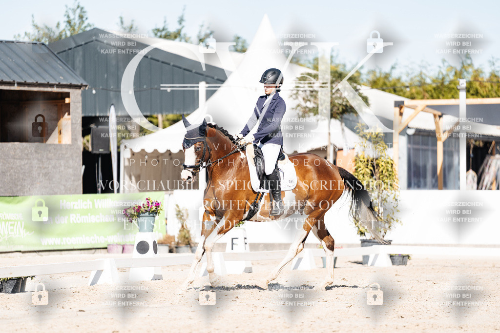 CK908122 | Turnierfotografie Pferdefotografie Trier Rheinland-Pfalz Pferdesport Reitsport Tierfotografie Sportfotografie Pferdevideo Pferdevideografie Equestrianvideography equestrianphotography  - Realisiert mit Pictrs.com
