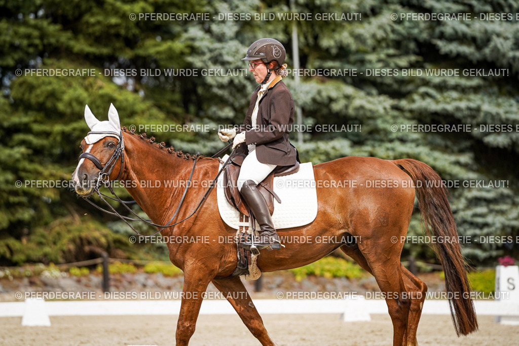 DSC06096 | Pferdegrafie