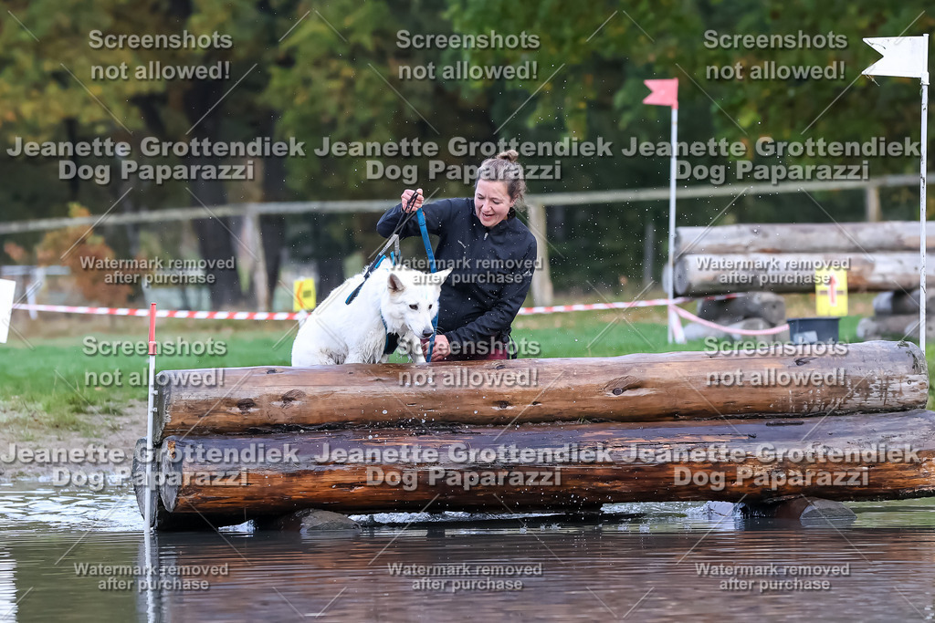 Dog Paparazzi - Strongdog 10-25-6638 | Dog Paparazzi Jeanette Grottendiek Fotografie & Videografie