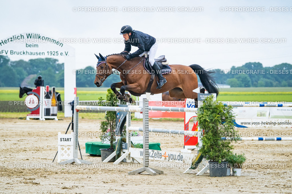 DSC00321 | Pferdegrafie