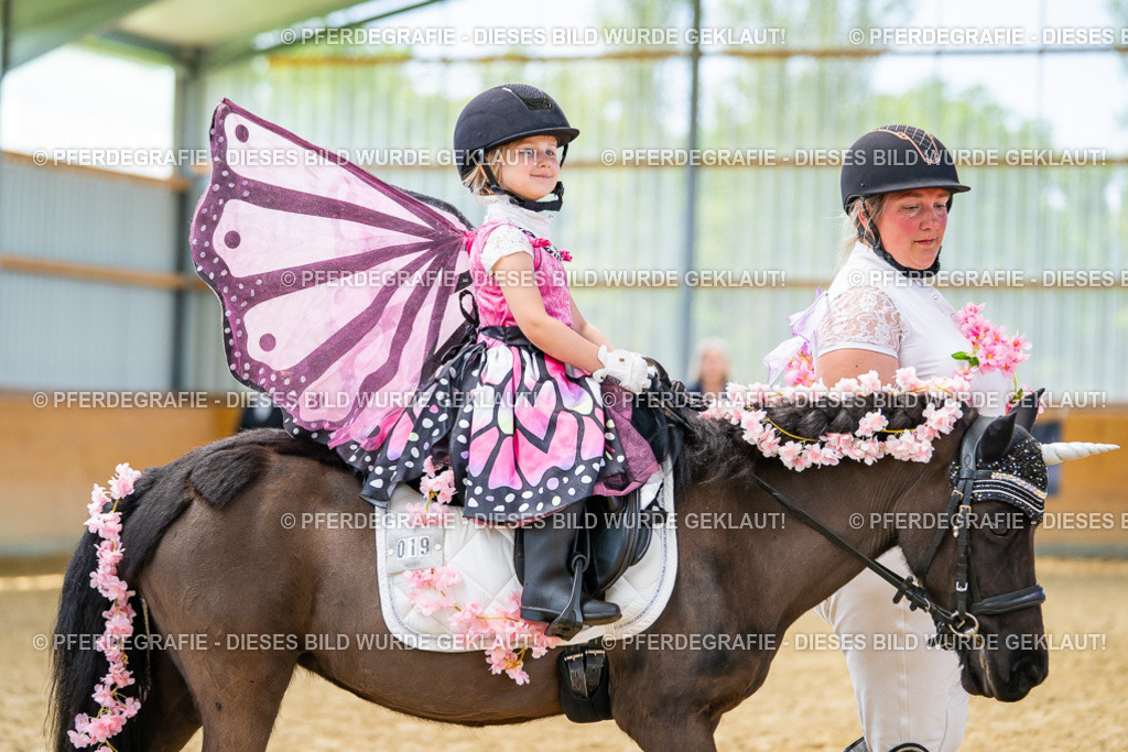 DSC09879 | Pferdegrafie