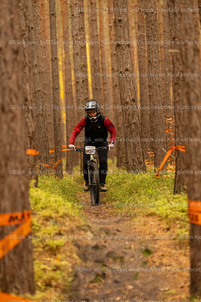 E68A3151 | blick_win_kel