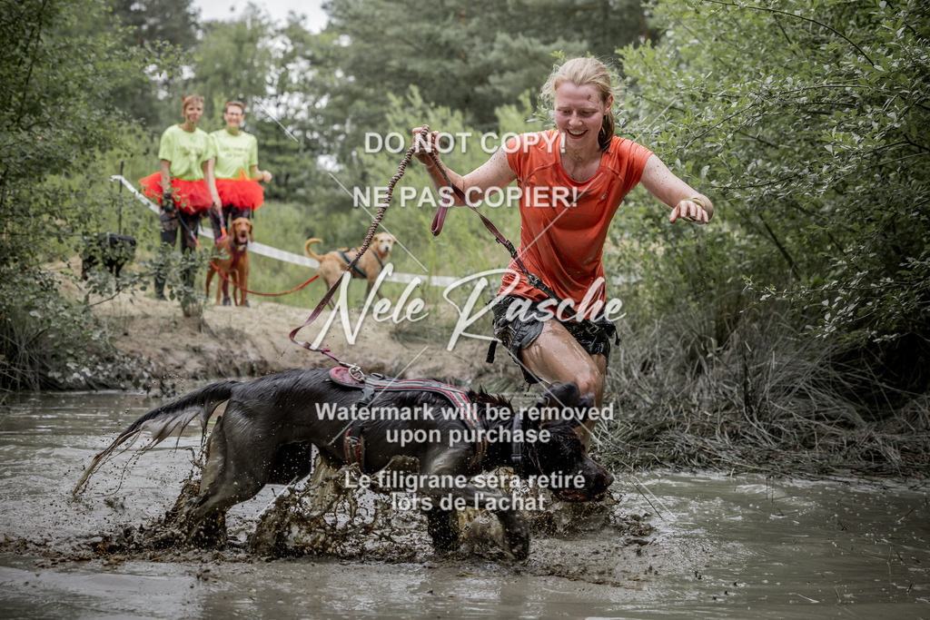 nelerasche_so1445-1515_225 | nelerasche