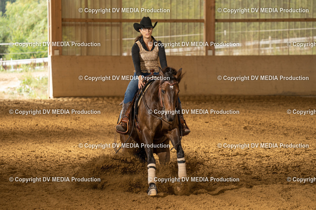 LAU01498 | dv-media-shop - Realisiert mit Pictrs.com