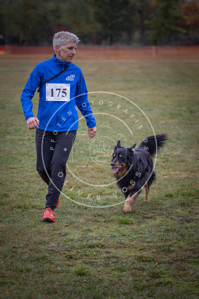 Pfotenfotografie_DV3A9297 | Hundefotografie, Tierfotograf, Pfotenfotografie, Fotoshooting Hund, Hunde Portrait, Hundesport, Hundeportraits, Heideshooting, Hunde, Sportfotograf, Hundefotograf, Turnierhundsport, THS,  - Realisiert mit Pictrs.com