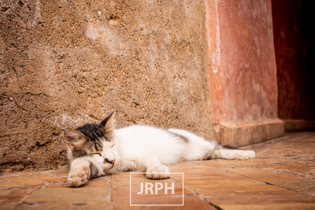 IMG_8028 | jrph - Realisiert mit Pictrs.com