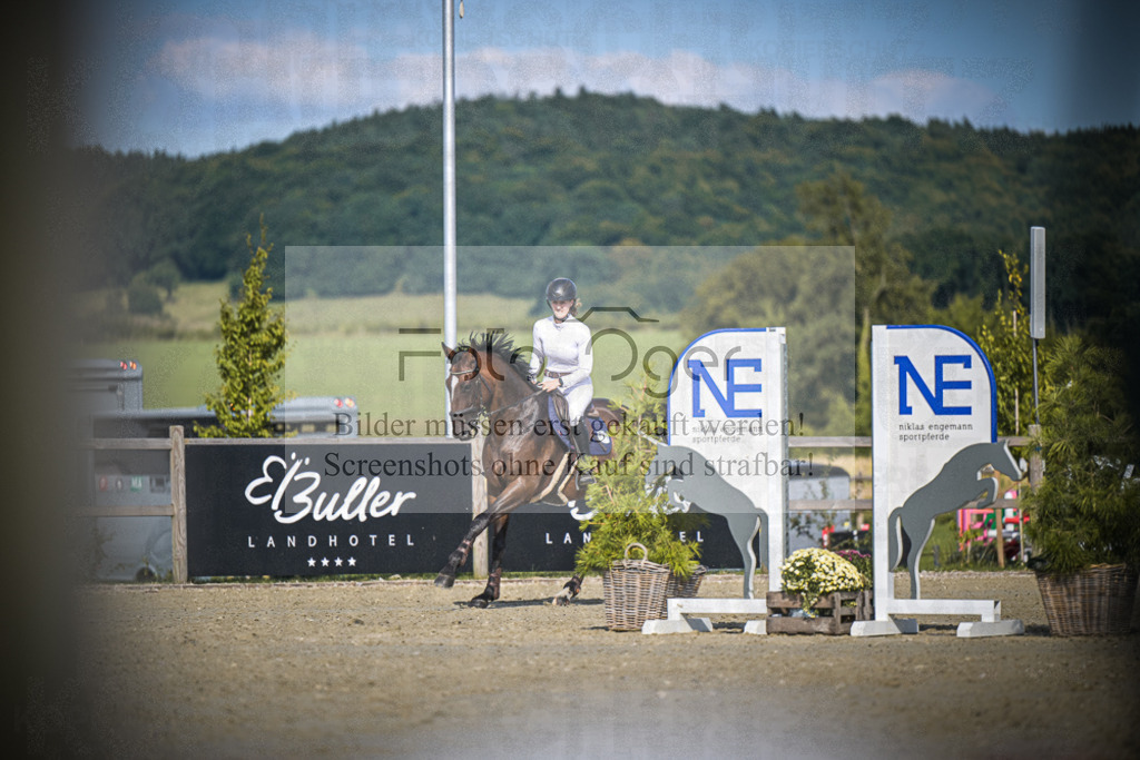 DOS_1136 | Entdecke hochwertige Reitturnierfotos von Foto Oger. Professionell, emotional und authentisch – jetzt Lieblingsmomente im Shop bestellen.Deutschlandweite Turnierfotografie. - Realisiert mit Pictrs.com