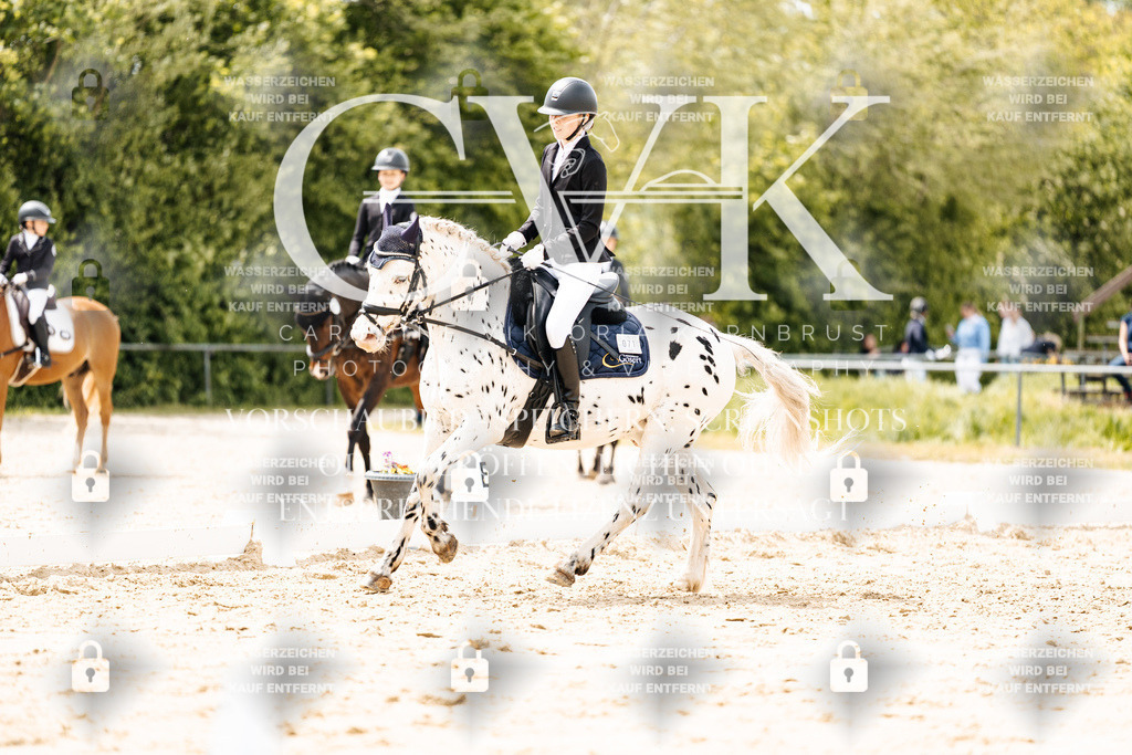 CK902351 | Turnierfotografie Pferdefotografie Trier Rheinland-Pfalz Pferdesport Reitsport Tierfotografie Sportfotografie Pferdevideo Pferdevideografie Equestrianvideography equestrianphotography  - Realisiert mit Pictrs.com