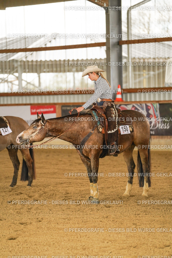 DSC08382 | Pferdegrafie