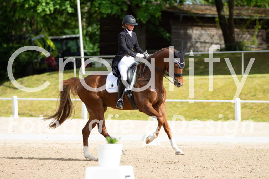 IMG_7884 | Creatify Fotografie