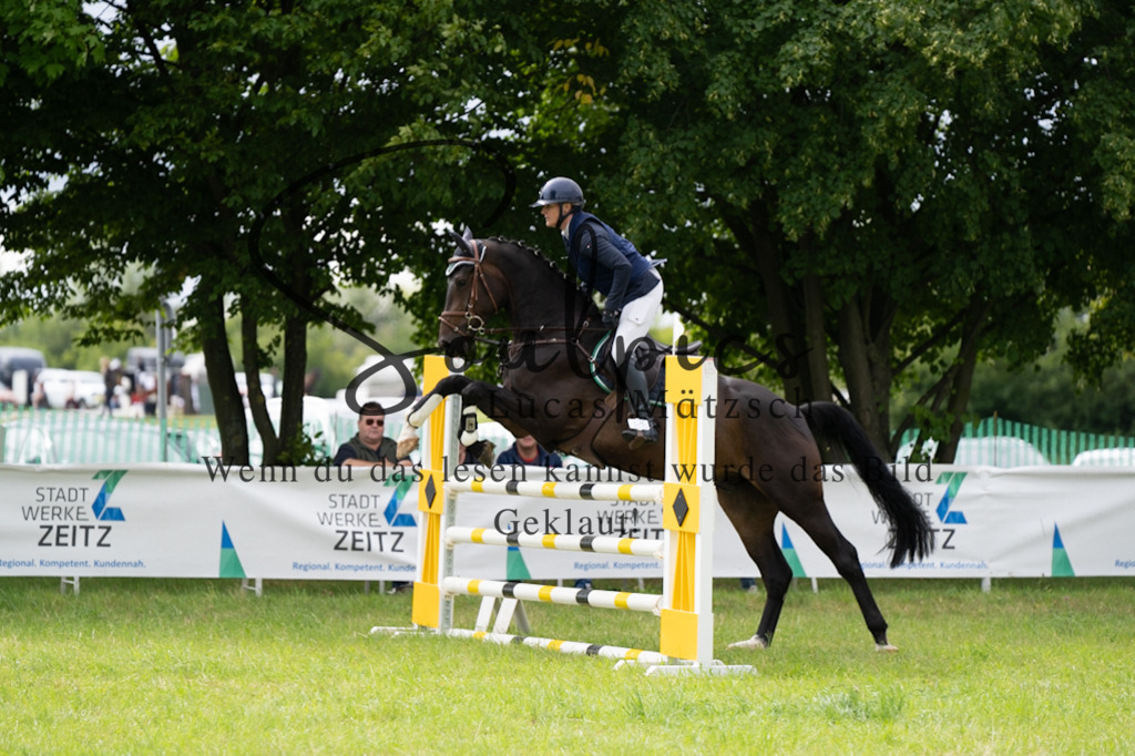 A7V03979 | Pferdefotograf