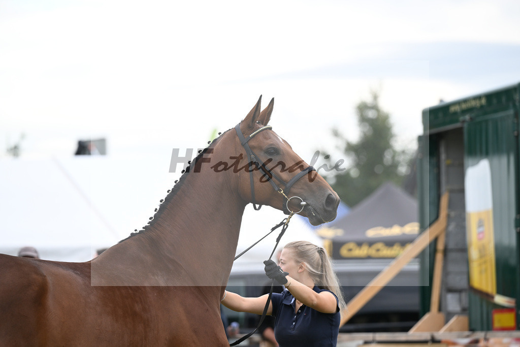 Kat-Nr. 18 Verona M v. Vingino_Zuchthof Meindl_30250362 | hf-fotografie - Realisiert mit Pictrs.com