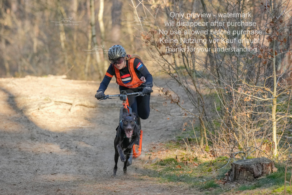 Sa_Scooter-20 | stephaniefillaphotographie - Realisiert mit Pictrs.com