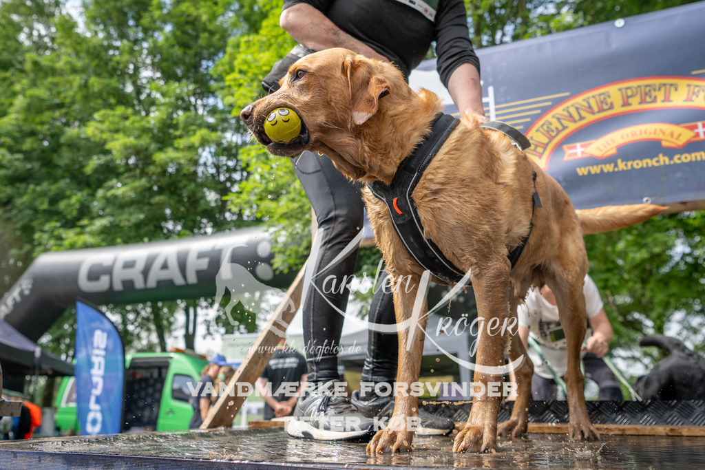 1030_ZZ91016 | kk-dogfotos