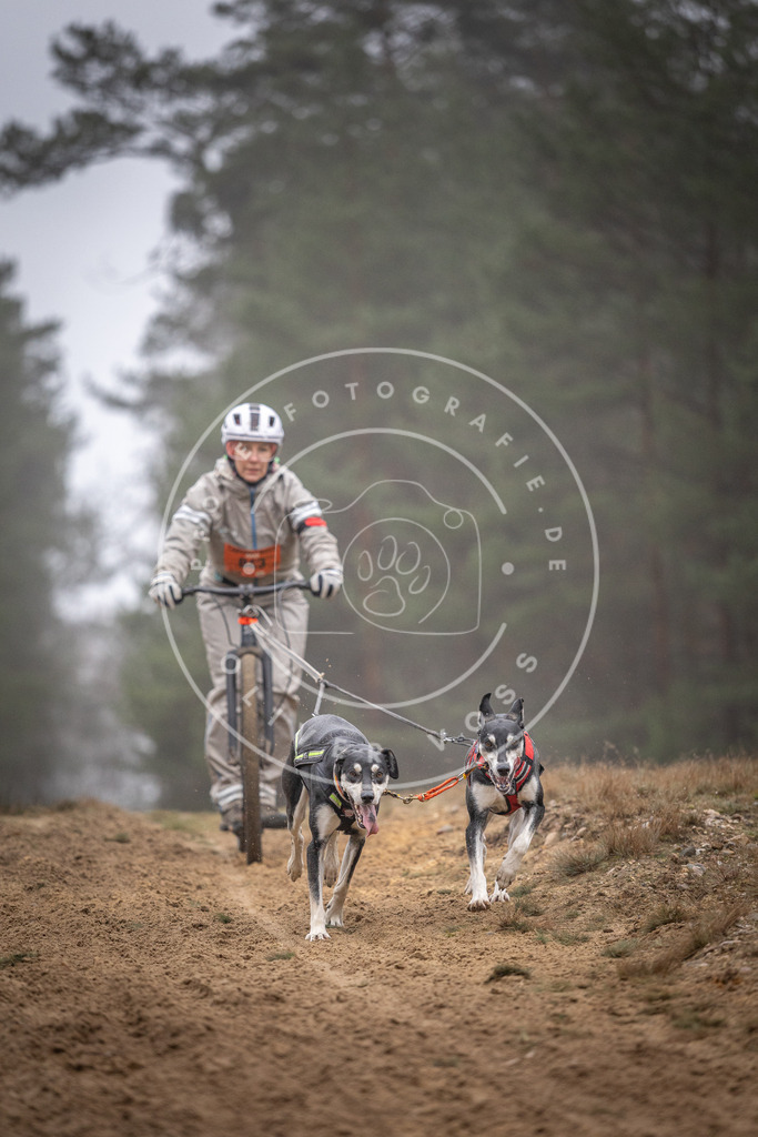 Pfotenfotografie_DV3A0991 | Hundefotografie, Tierfotograf, Pfotenfotografie, Fotoshooting Hund, Hunde Portrait, Hundesport, Hundeportraits, Heideshooting, Hunde, Sportfotograf, Hundefotograf, Turnierhundsport, THS,  - Realisiert mit Pictrs.com