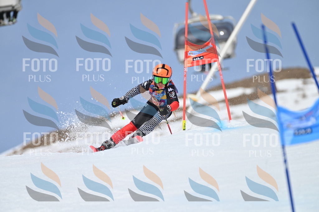 BGV_2873 | holidayphoto