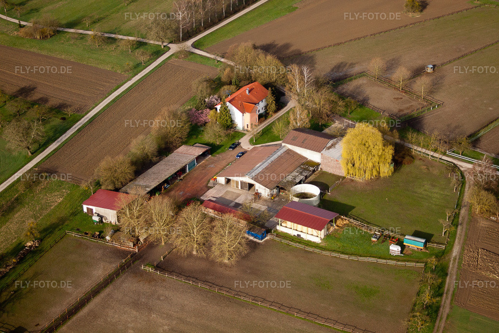 Luftbild: Pferdepension Renz in Au am Rhein im Bundesland Baden-Württemberg in Deutschland. Foto: IMG_25532.jpg vom 02.04.2010 durch Werner Riehm/FLY-FOTO.de