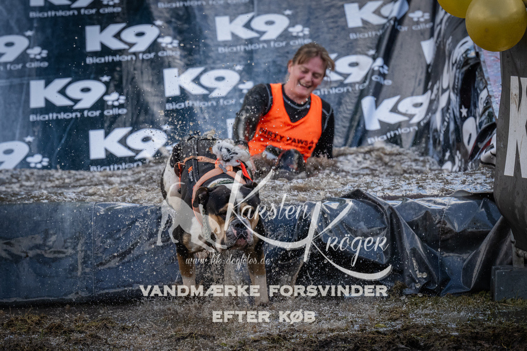 1517_ZZ94350 | kk-dogfotos