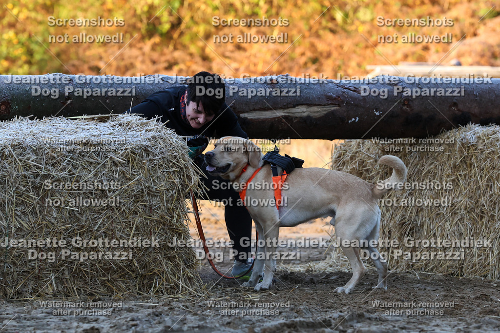 Dog Paparazzi - Strongdog 10-25-444 | Dog Paparazzi Jeanette Grottendiek Fotografie & Videografie - Realisiert mit Pictrs.com