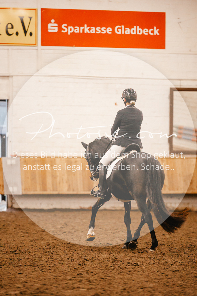 3I6A6865 | Stimmungsvolle Portraits und Reitsportfotografie im Ruhrgebiet und im Münsterland.

Pferdefotografie, Hundefotografie, Tierfotografie, Reportagen, Portraits von Tier und Mensch, Turnierfotografie in Bochum, Recklinghausen, Marl, Haltern am See, Dülmen.. - Realisiert mit Pictrs.com