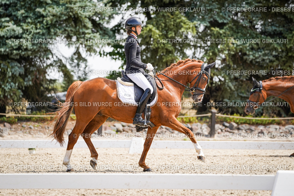 DSC00674 | Pferdegrafie