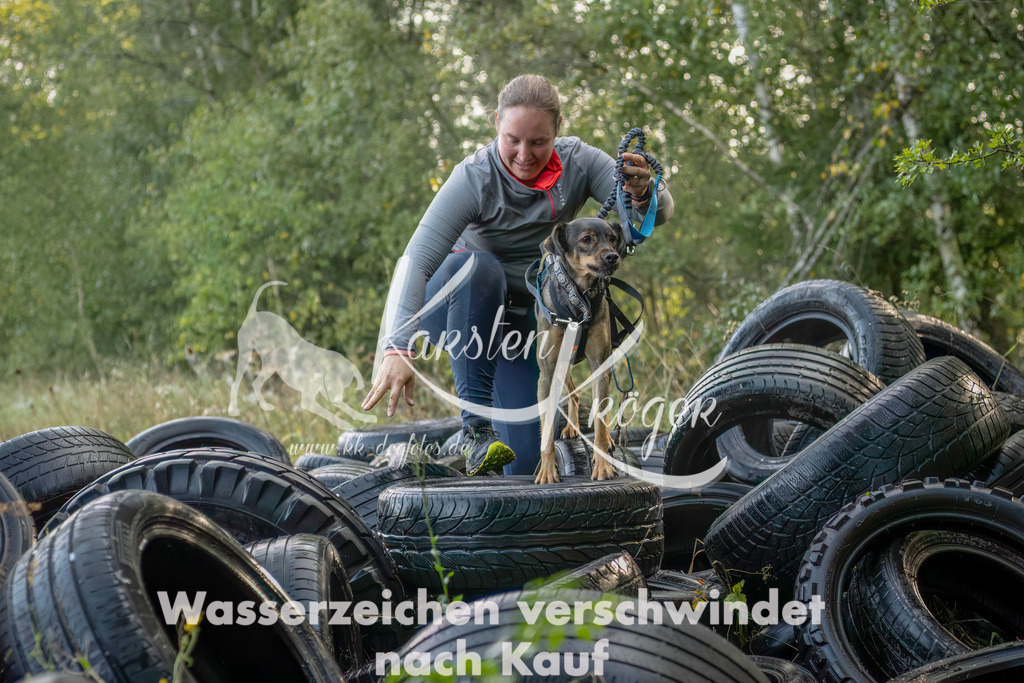 1008_ZZ93672-Bearbeitet-2 | kk-dogfotos
