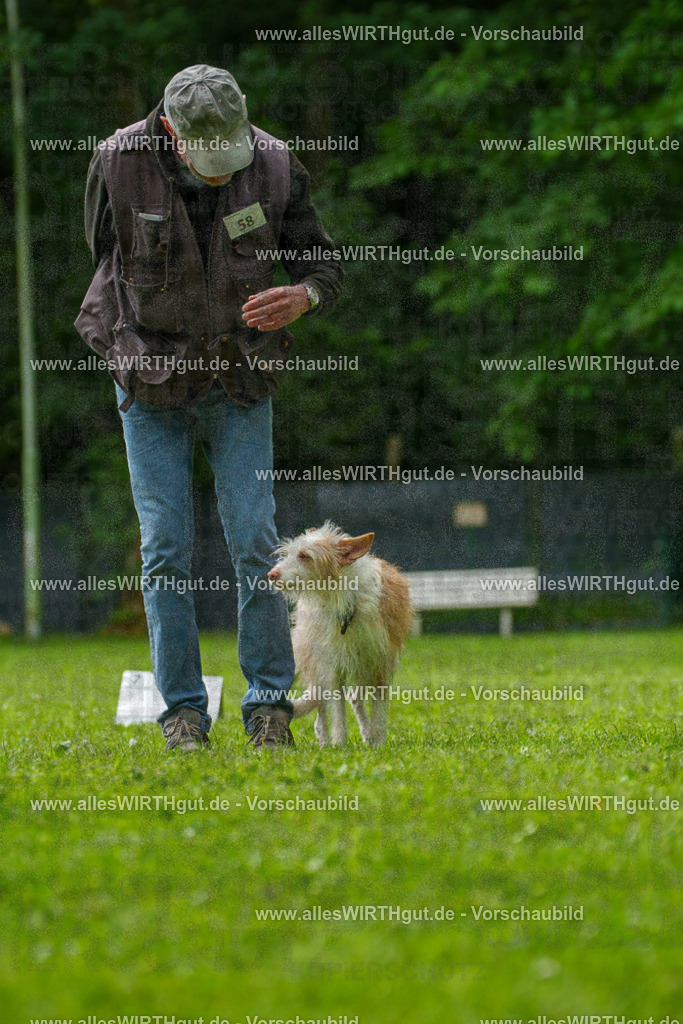 @allesWIRTHgut_Tierfotografie - www.allesWIRTHgut.de - 7R501344 | Professionelle Tierfotografie in Mönchengladbach von Daniel Wirth (allesWIRTHgut). Liebevolle & natürliche Bilder von Hunden & Katzen für unvergessliche Erinnerungen.