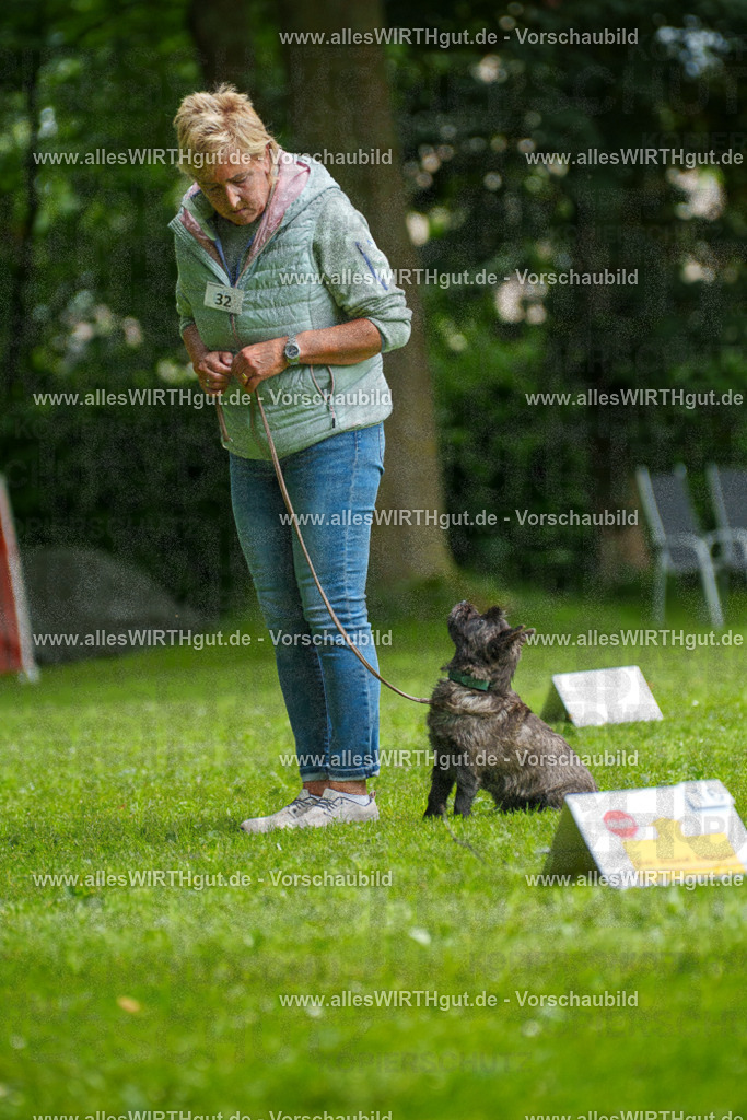 @allesWIRTHgut_Tierfotografie - www.allesWIRTHgut.de - 7R504465 | Professionelle Tierfotografie in Mönchengladbach von Daniel Wirth (allesWIRTHgut). Liebevolle & natürliche Bilder von Hunden & Katzen für unvergessliche Erinnerungen.
