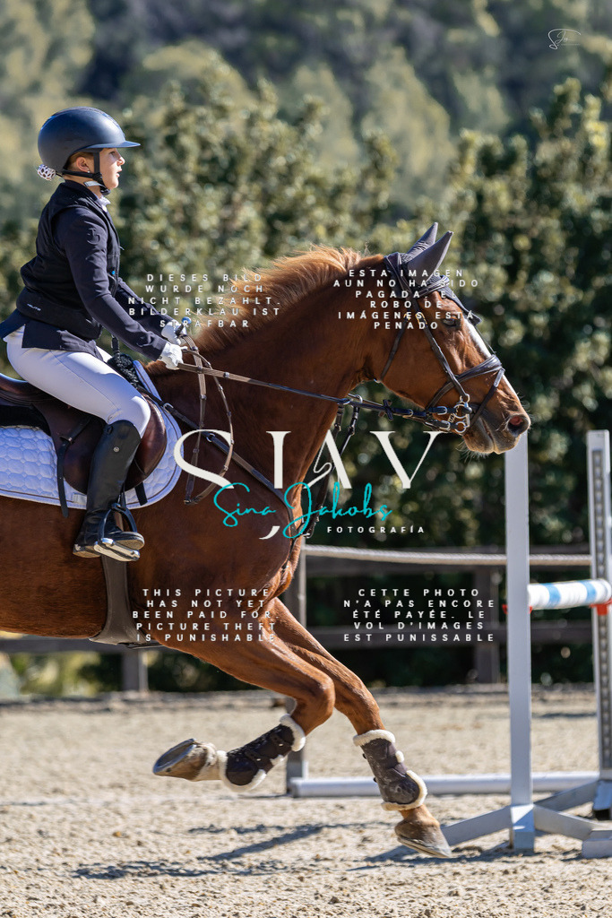 IMG_0010 | s-jay-photography - Realisiert mit Pictrs.com