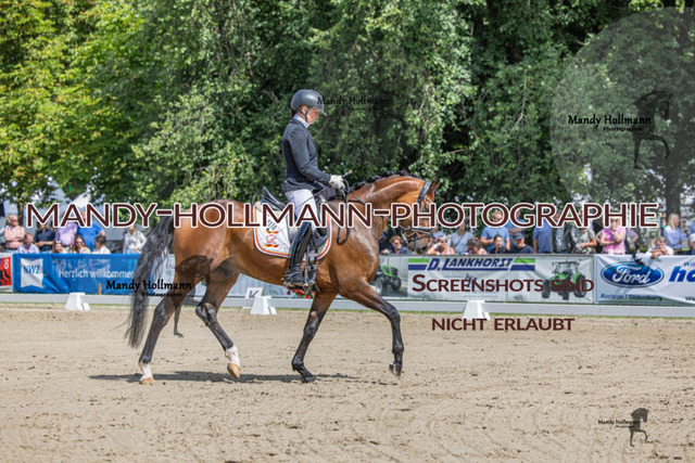 26.725 D2 49 (223 von 854) | mandyhollmannphotographie