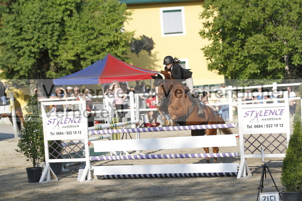 _MG_2264 | equestrian-live-com