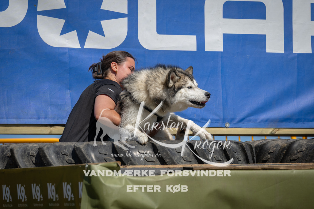 1313_ZZ98287 | kk-dogfotos