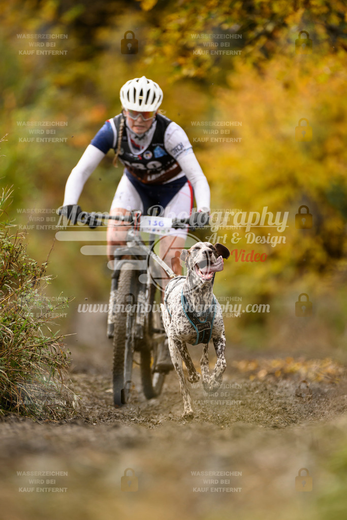MompixPhotography_ICF_WC_2024_SA_Bike_-126 | PayLife