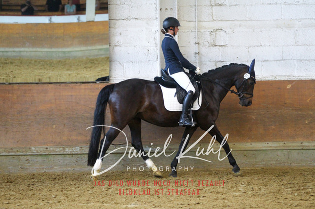 DKP43479 | Turniersportfotografie; Pferdefotografie; Dressurfotografie