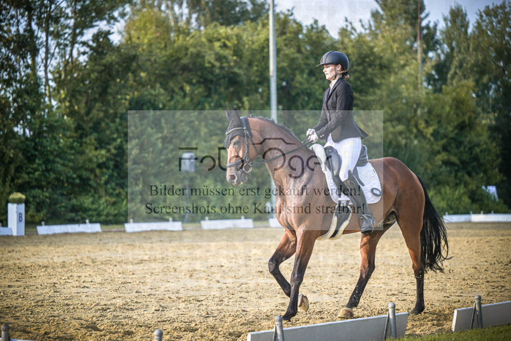 DOS_2255 | Entdecke hochwertige Reitturnierfotos von Foto Oger. Professionell, emotional und authentisch – jetzt Lieblingsmomente im Shop bestellen.Deutschlandweite Turnierfotografie. - Realisiert mit Pictrs.com
